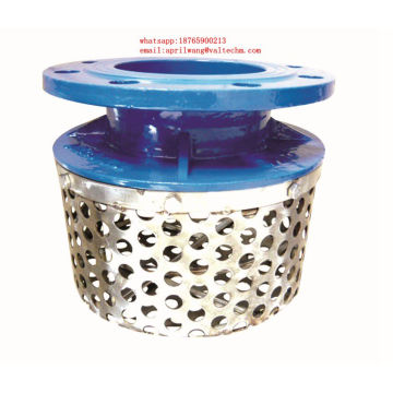 ductile iron rose strainer with ss basket